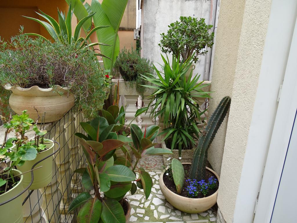Apartament - Lisa Будва Экстерьер фото